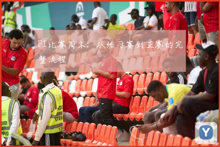 F1比赛周末：从练习赛到正赛的完整流程