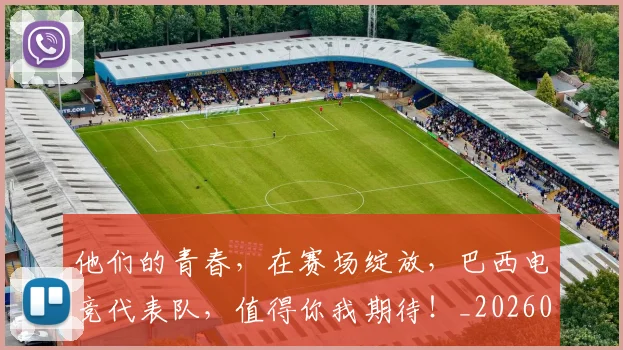他们的青春,在赛场绽放,巴西电竞代表队,值得你我期待!_20260704165401