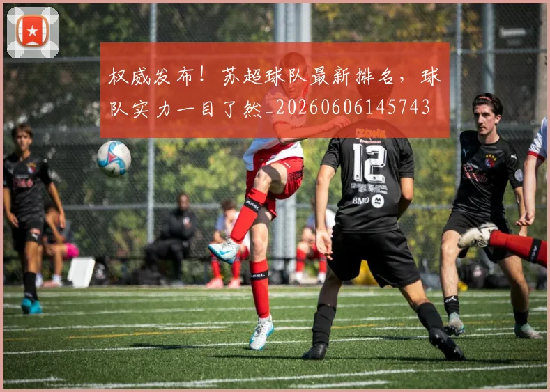 权威发布！苏超球队最新排名，球队实力一目了然_20260606145743
