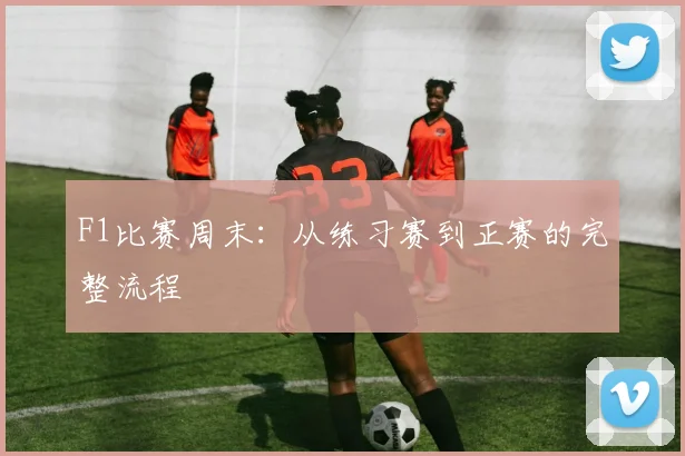 F1比赛周末:从练习赛到正赛的完整流程